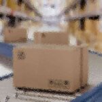 Creating a Supportive and Inclusive Environment