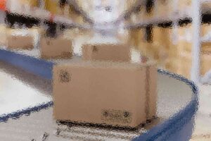 Creating a Supportive and Inclusive Environment