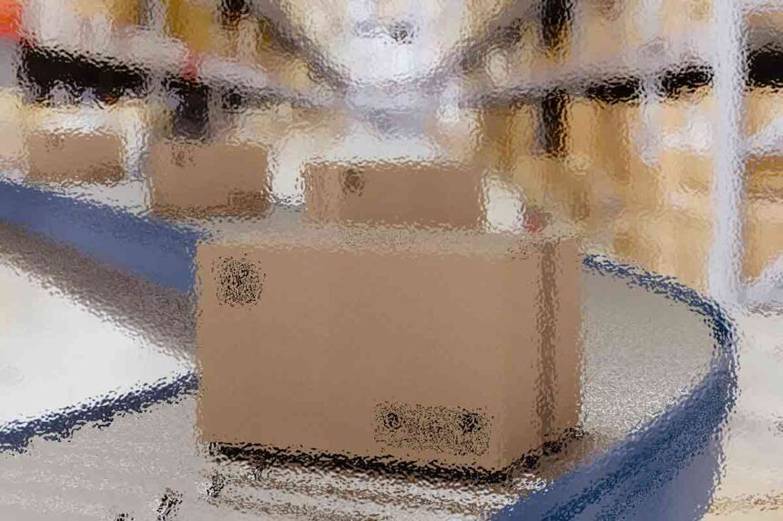 Creating a Supportive and Inclusive Environment