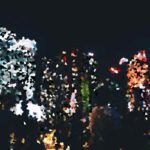 Best Cities with the Best Nightlife for Party Seekers