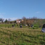 A Coriano due appuntamenti per riscoprire le erbe spontanee e il legame con la natura