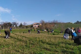A Coriano due appuntamenti per riscoprire le erbe spontanee e il legame con la natura