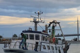 Romagna, gasolio alle stelle: allarme pesca e costi raddoppiati per i pescherecci