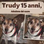 APAS San Marino. Trudy merita di essere amato fino all’ultimo giorno