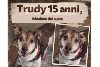 APAS San Marino. Trudy merita di essere amato fino all’ultimo giorno