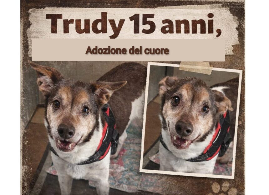 APAS San Marino. Trudy merita di essere amato fino all’ultimo giorno