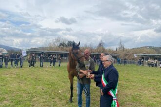 Al Foro Boario di Morciano di Romagna premiati i migliori allevatori dell’edizione 2026 di San Gregorio
