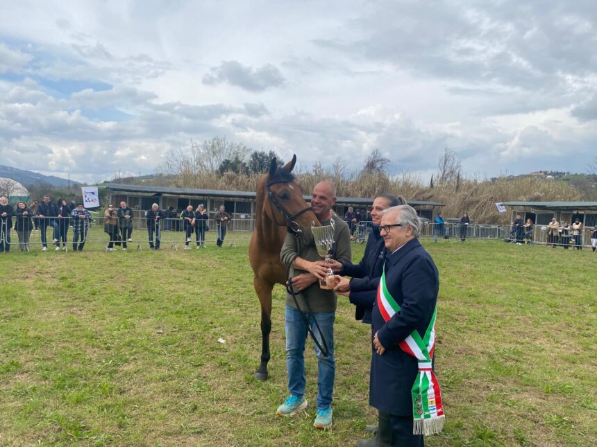 Al Foro Boario di Morciano di Romagna premiati i migliori allevatori dell’edizione 2026 di San Gregorio