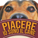 San Marino, “Piacere Io sono il cane!”: oggi a Faetano il secondo incontro tra razze, pedigree e falsi miti