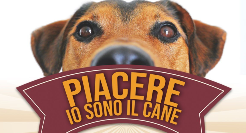 San Marino, “Piacere Io sono il cane!”: oggi a Faetano il secondo incontro tra razze, pedigree e falsi miti
