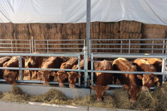 La Cooperativa Allevatori Sammarinesi guarda al futuro