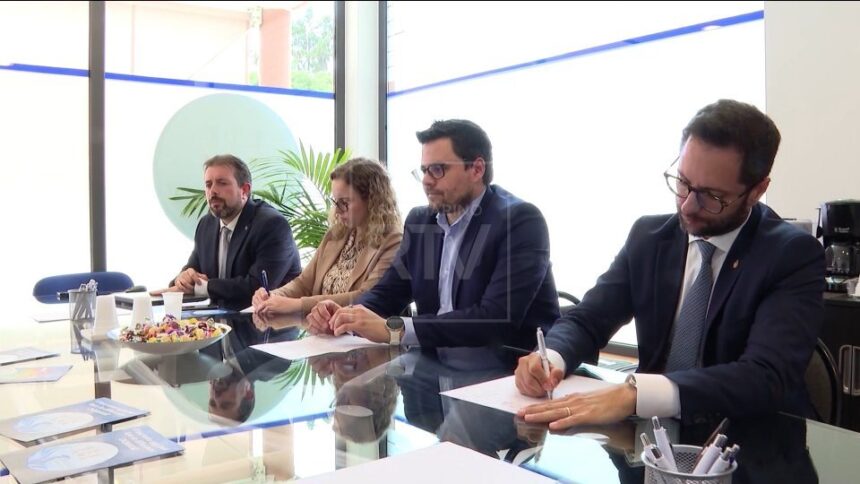 D-ML sull’azione di Governo: “Senza idee e copia quelle degli altri”