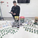 Cronaca. Bologna, blitz al Pilastro grazie alle segnalazioni dei residenti: arrestati due 20enni tunisini con sei chili di droga