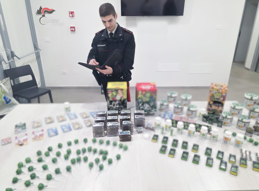 Cronaca. Bologna, blitz al Pilastro grazie alle segnalazioni dei residenti: arrestati due 20enni tunisini con sei chili di droga