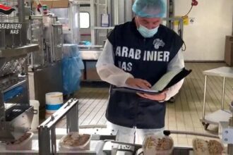 Cronaca. Acqualagna (PU), sigilli a un ristorante per carenze igieniche e carne senza tracciabilità