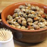 Cesenatico, il gasteropode adriatico sparisce dai fondali: pescatori in ginocchio dopo l’estate delle mucillagini