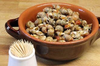 Cesenatico, il gasteropode adriatico sparisce dai fondali: pescatori in ginocchio dopo l’estate delle mucillagini