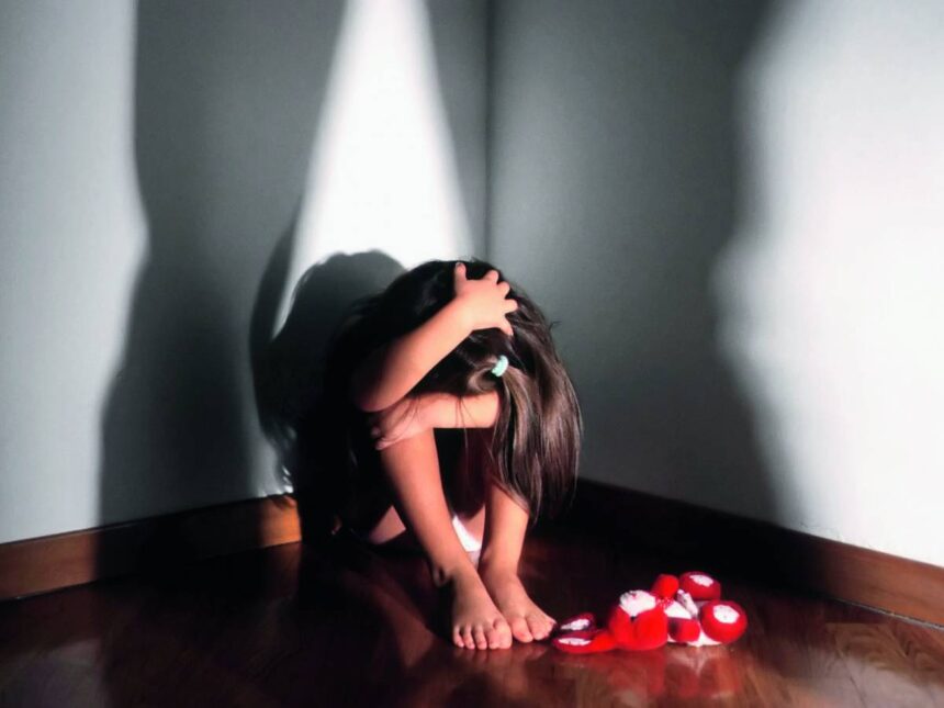 Cronaca. Giornalista e insegnante arrestati per materiale pedopornografico: tra le vittime i nipotini di 5 e 8 anni affidati alla “brava zia”