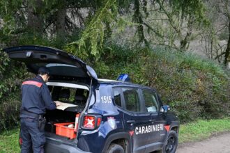 Sogliano al Rubicone. Sequestro penale di una platea in cemento armato in zona soggetta a vincolo idrogeologico