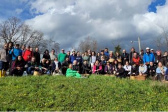 Raccogliere e cucinare le erbe selvatiche, inizia giovedì il corso dell’Associazione Micologica Sammarinese