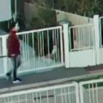 Cronaca. Lugo, mistero dell’uomo col piccone e maschera horror: bravata o minaccia reale?