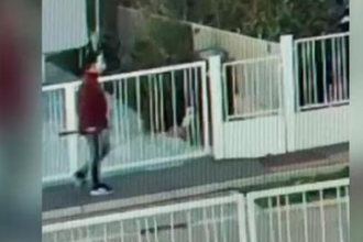 Cronaca. Lugo, mistero dell’uomo col piccone e maschera horror: bravata o minaccia reale?