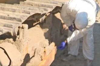 Uccisa in spiaggia da una ruspa, l’imputato ai domiciliari dopo nove mesi