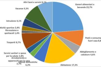 Indagine dell’Ufficio statistica sui consumi e sullo stile di vita delle famiglie nel 2024