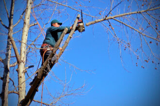 San Marino, maltempo e neve: l’UGRAA proroga il periodo delle potature al 10 aprile