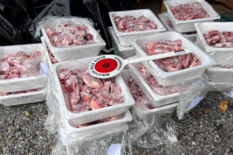 Pasqua sicura in Riviera, sequestrati oltre 50 kg di carne d’agnello irregolare
