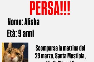 APAS San Marino. Alisha scomparsa a Santa Mustiola. Ogni segnalazione è preziosa!