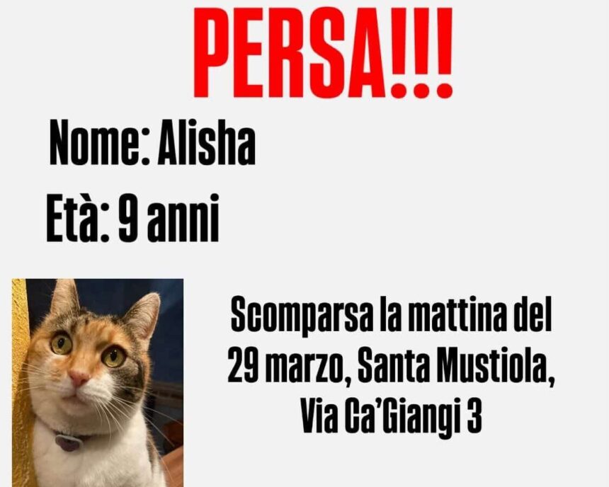 APAS San Marino. Alisha scomparsa a Santa Mustiola. Ogni segnalazione è preziosa!