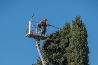 Potature: prorogato il periodo consentito fino al 10 aprile a causa del maltempo