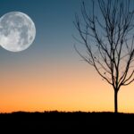 Lo spettacolo del cielo di marzo