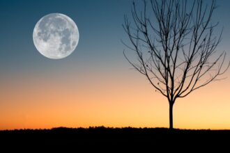 Lo spettacolo del cielo di marzo