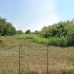 Ex polveriera di Riccione, continua la protesta: “No eventi musicali, tutelare habitat naturale”