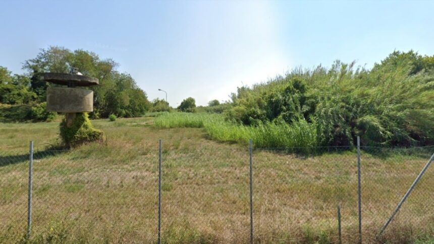 Ex polveriera di Riccione, continua la protesta: “No eventi musicali, tutelare habitat naturale”