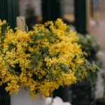 Teatro e mito a Santarcangelo di Romagna: Baubo celebra la Giornata della donna