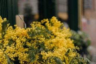 Teatro e mito a Santarcangelo di Romagna: Baubo celebra la Giornata della donna