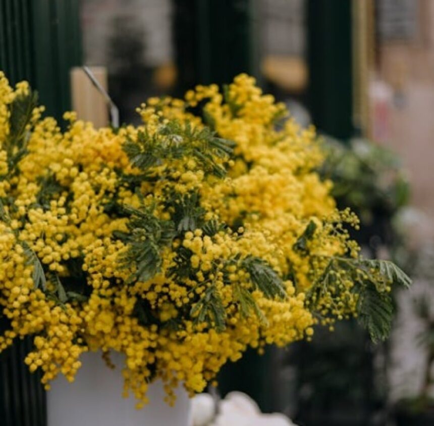 Teatro e mito a Santarcangelo di Romagna: Baubo celebra la Giornata della donna
