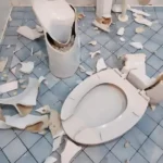 Cronaca. Blitz allo stadio del baseball di Rimini: il Comune riprende l’impianto tra danni e tensioni