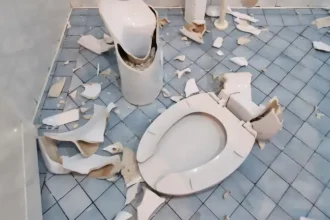 Cronaca. Blitz allo stadio del baseball di Rimini: il Comune riprende l’impianto tra danni e tensioni