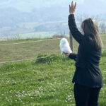 San Marino: realizzato l’esperimento in volo di Magica Gilly