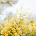 8 marzo a Rimini: CGIL celebra 80 anni del voto alle donne