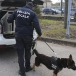 Miramare, 22enne arrestato con 400 grammi di hashish e più di 4mila euro