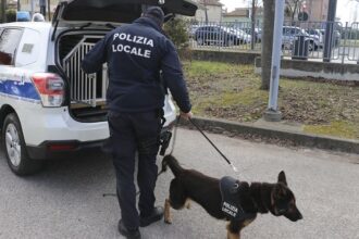 Miramare, 22enne arrestato con 400 grammi di hashish e più di 4mila euro