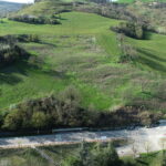 Provincia Forlì-Cesena. Competizioni sportive su strada: nuova procedura per le autorizzazioni