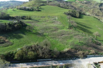 Provincia Forlì-Cesena. Competizioni sportive su strada: nuova procedura per le autorizzazioni