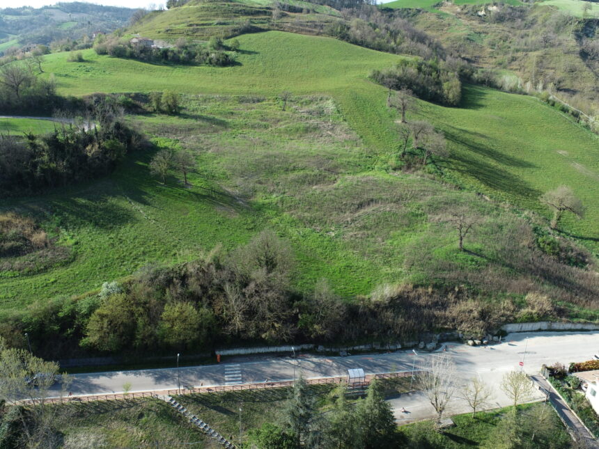 Provincia Forlì-Cesena. Competizioni sportive su strada: nuova procedura per le autorizzazioni