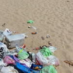 Cronaca. Rimini, ripulisce la sua spiaggia privata: denunciato dal Comune